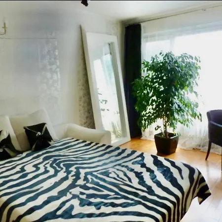 Apartment Cozy